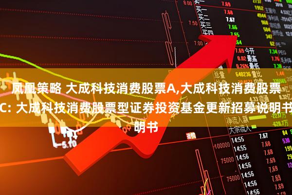 凤凰策略 大成科技消费股票A,大成科技消费股票C: 大成科技消费股票型证券投资基金更新招募说明书