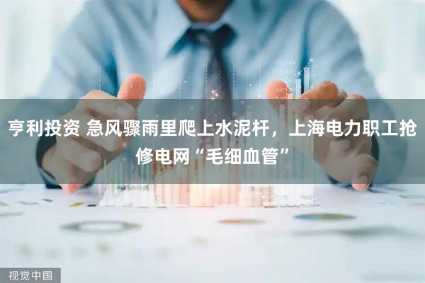 亨利投资 急风骤雨里爬上水泥杆，上海电力职工抢修电网“毛细血管”