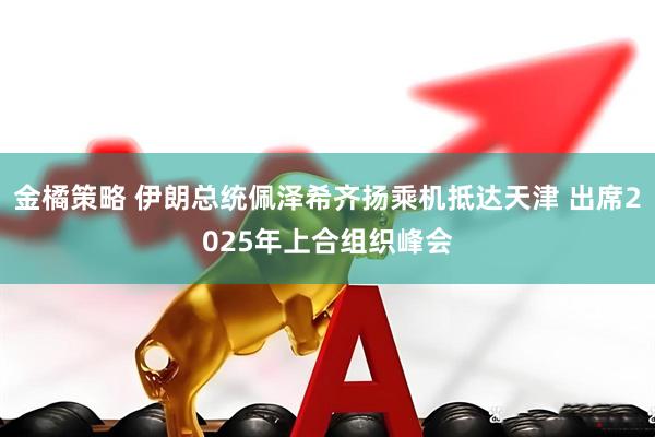 金橘策略 伊朗总统佩泽希齐扬乘机抵达天津 出席2025年上合组织峰会