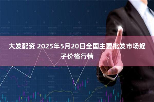 大发配资 2025年5月20日全国主要批发市场蛏子价格行情