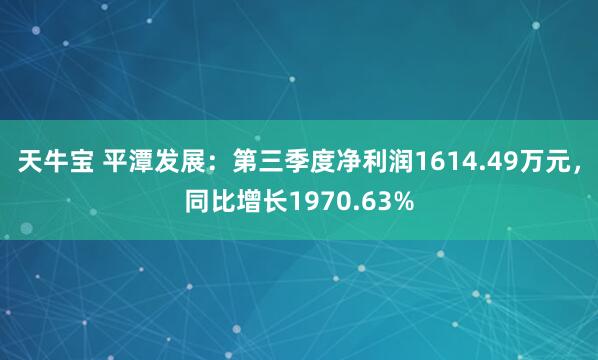 天牛宝 平潭发展：第三季度净利润1614.49万元，同比增长1970.63%